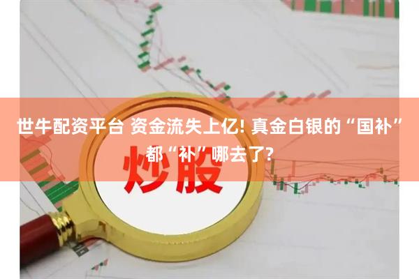 世牛配资平台 资金流失上亿! 真金白银的“国补”都“补”哪去了?